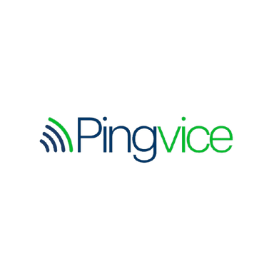 Ping Vice Logo