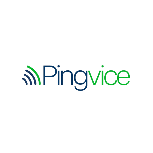 Pingvice Logo