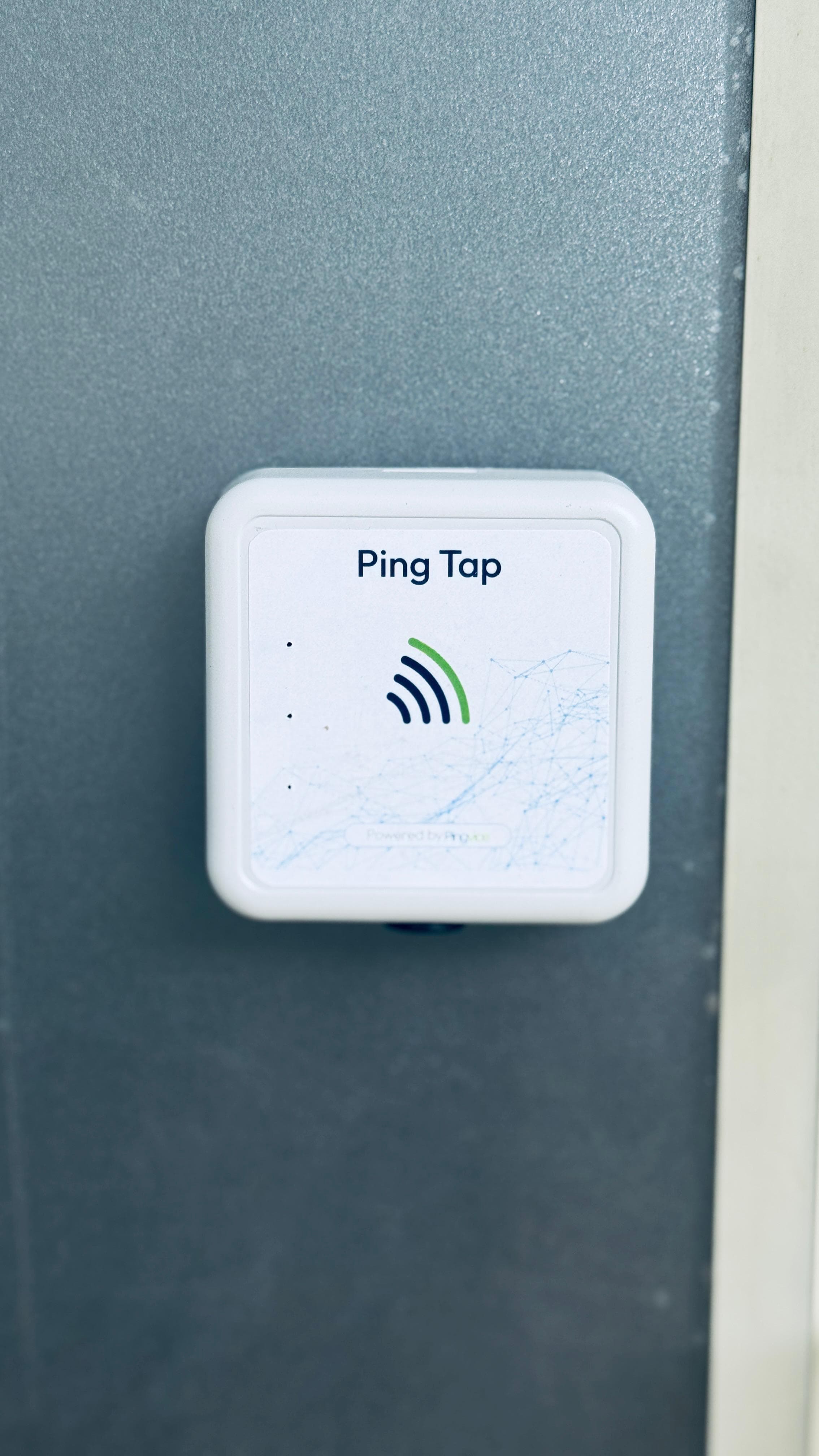 Ping Tap